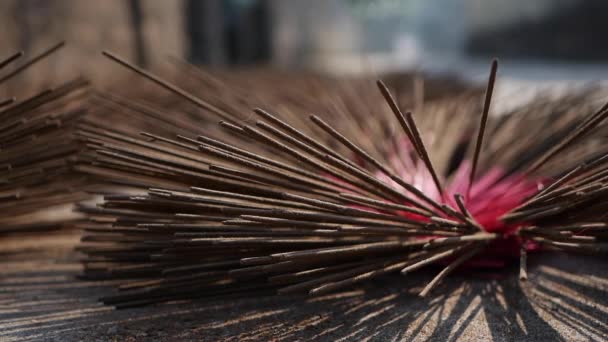 Newly made incense sticks are dried in the sun before being packed and sent to stores. Production manufacture of incense in Asia. Traditional art and Culture concept - Footage, Video