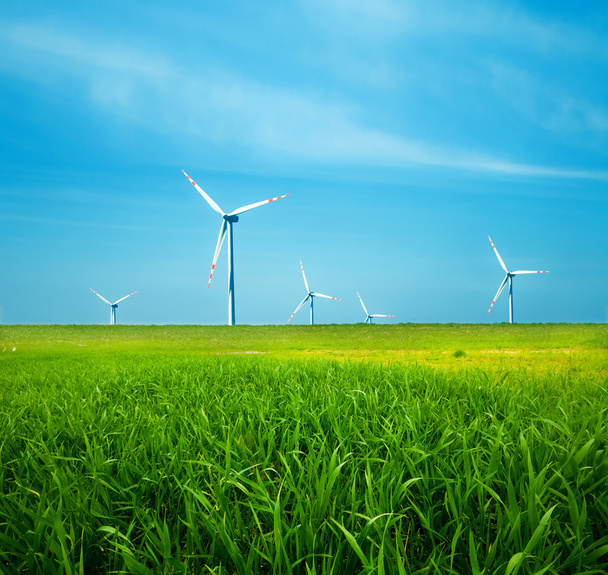 Turbinas eólicas no campo verde
 - Foto, Imagem