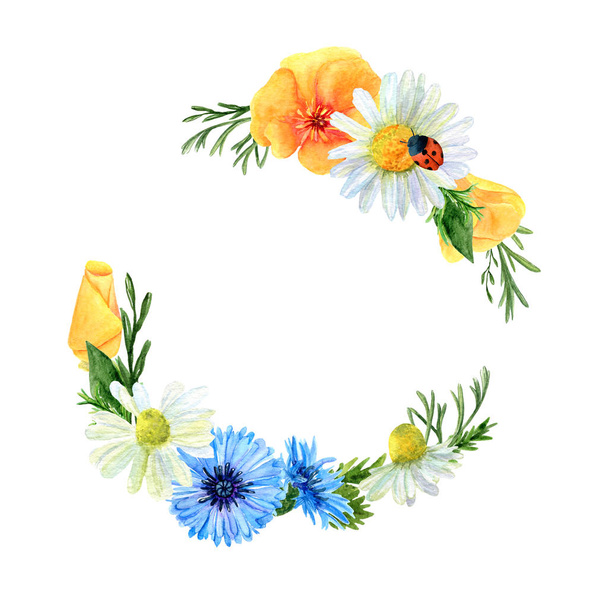 Watercolor wreath of summer meadow flowers and herbs. Floral composition of poppies, cornflowers, ladybug and chamomiles. Design of round frame for wedding, invitations or cards - Valokuva, kuva