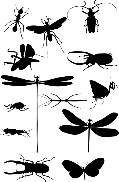 dertien geïsoleerde zwarte insecten - Vector, afbeelding