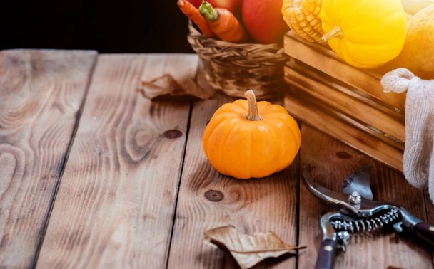 Ημέρα των Ευχαριστιών φόντο με φρούτα και λαχανικά σε ξύλο το φθινόπωρο και το φθινόπωρο εποχή συγκομιδής.. - Φωτογραφία, εικόνα