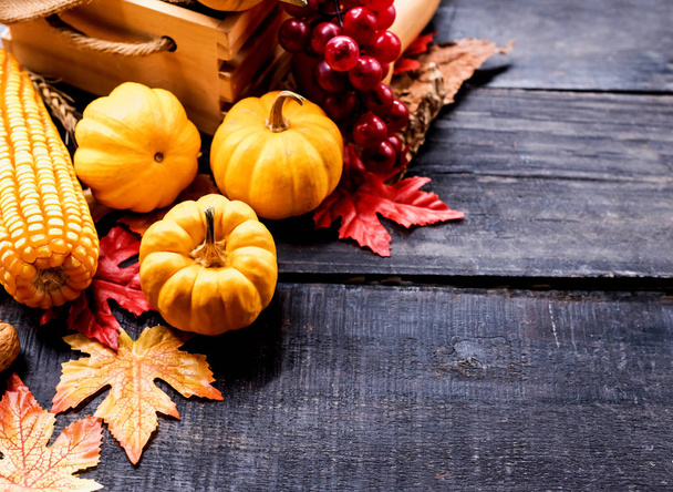 Fondo del Ringraziamento con frutta e verdura su legno in autunno e stagione della vendemmia autunnale.
. - Foto, immagini