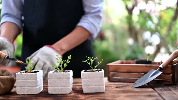 material de primer plano del jardinero poniendo fertilizante en macetas
 - Metraje, vídeo