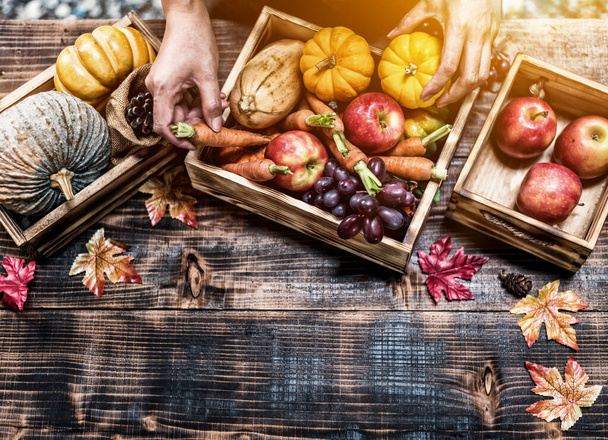 Sonbaharda meyve ve sebzeli Şükran Günü arkaplanı, sonbahar ve sonbahar hasat mevsimi. Yazı için alanı kopyala. - Fotoğraf, Görsel