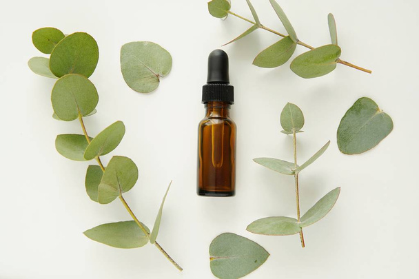 Eucalyptus essential oil in brown dropper bottle, mock up flat lay with eucalyptus branches. - Photo, Image