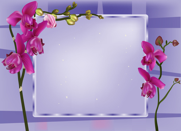 sötét rózsaszín orchideák, lila háttér - Vektor, kép