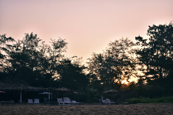 ゴアのビーチの木々の後ろの美しい夕日 - 写真・画像