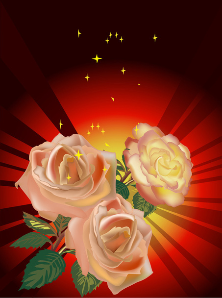 Light rose flowers on dark red background - Vector, Image