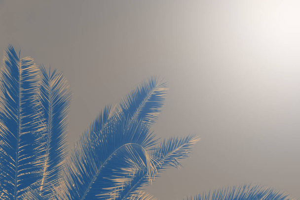 Background of palm leaves toned. Tropical background with copy space colored classic blue. - Fotó, kép