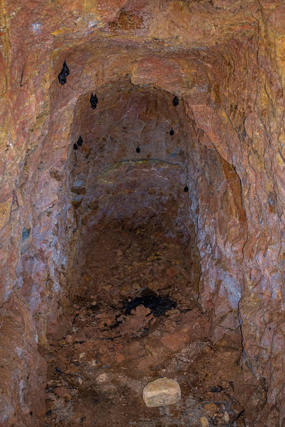 Маленькая пещера, где живут летучие мыши, некоторые отдыхают в течение дня
 - Фото, изображение
