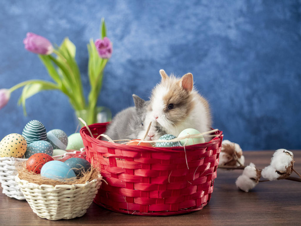 Coniglietto pasquale in cesto con uova colorate, caramelle e tulipani sul tavolo di legno. Pasqua decorazioni per le vacanze, Pasqua concetto di sfondo
. - Foto, immagini