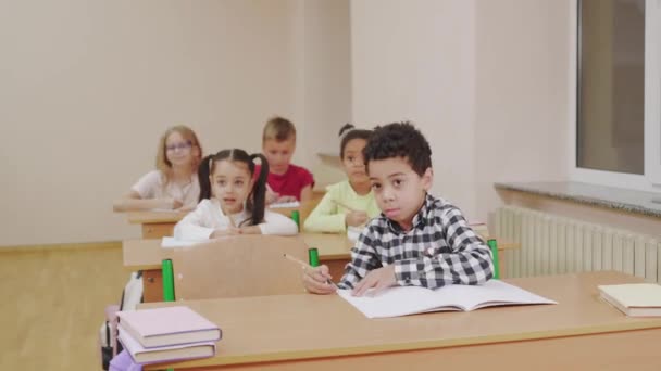 教室で手を挙げている多人種の子供たち. - 映像、動画