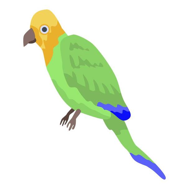 Pirate parrot icon, isometric style - Vektor, Bild