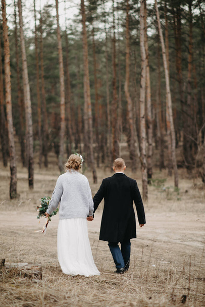 Newlyweds walk along a forest path in a coniferous forest among pine trees. Back view. - 写真・画像