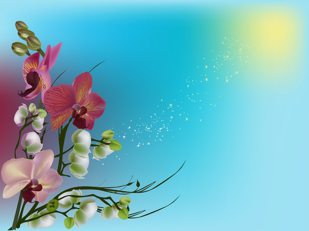 décoration de fleurs d'orchidée rose foncé et blanc
 - Vecteur, image