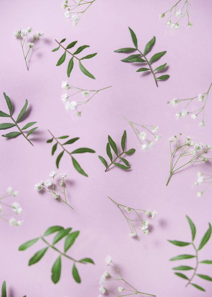 Pastelowy wzór na różowym tle białe kwiaty Cyganka i zielone liście pistacji. Widok z góry - Zdjęcie, obraz
