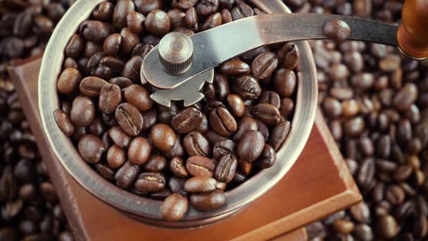 Granos de café tostados cayendo lentamente en un molinillo de café - Metraje, vídeo