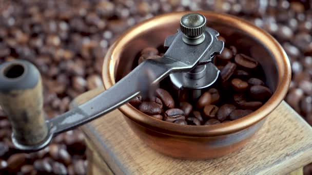 Pražená kávová zrna pomalu padají do mlýnku na kávu - Záběry, video