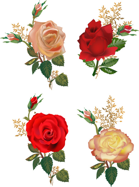 four rose flowers compositions isolated on white - Διάνυσμα, εικόνα