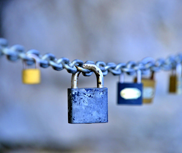 love padlocks hanged on a chain image - Photo, Image