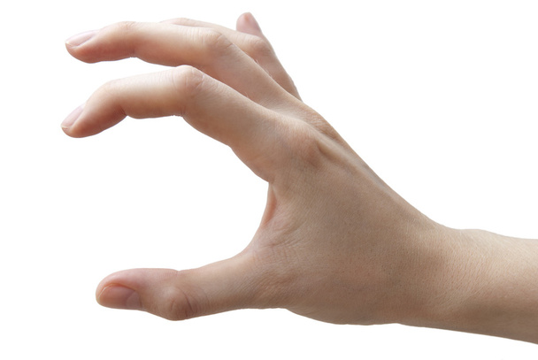 Mão humana
 - Foto, Imagem