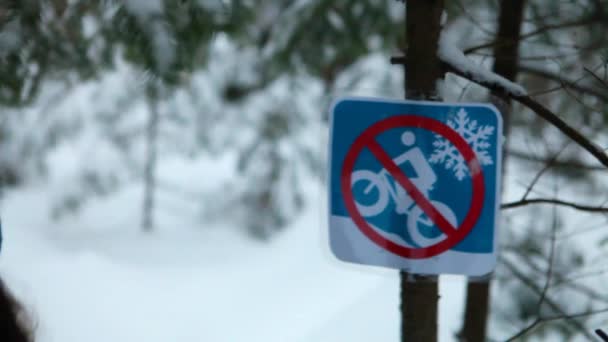 Dívka chůze a turistika sama v lese v zimě - Záběry, video