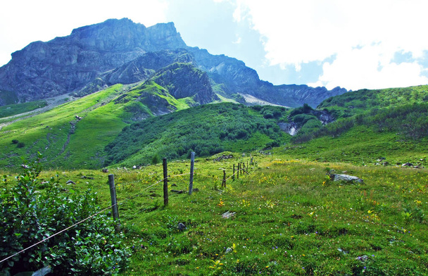Alpejski szczyt górski Naafkopf nad dolinami Naaftal i Saminatal oraz w masywie górskim Alp Liechtenstein - Steg, Liechtenstein - Zdjęcie, obraz