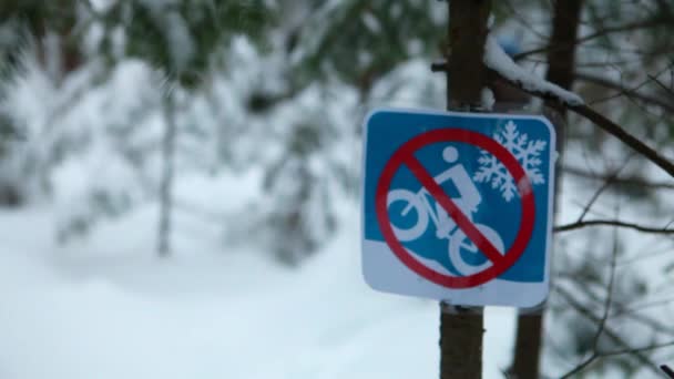 Lány séta és túrázás egyedül az erdőben télen - Felvétel, videó