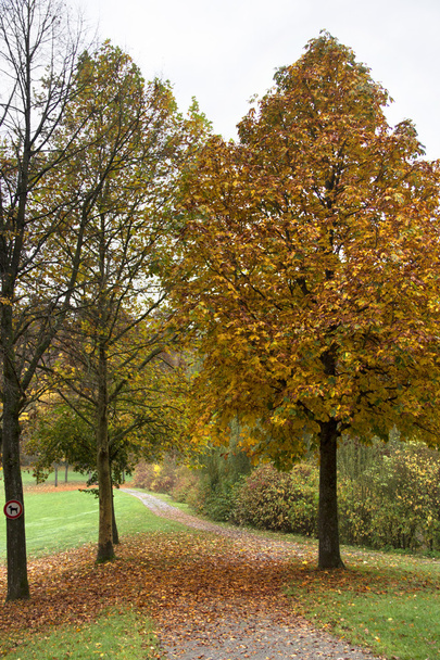 herfst landschap - Foto, afbeelding