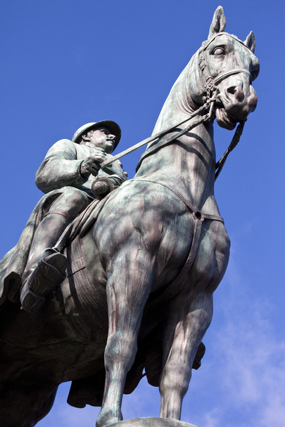 Estátua do Rei Alberto I em Paris
 - Foto, Imagem