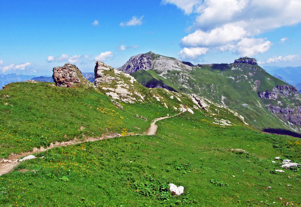 Αλπικές βουνοκορφές Augstenberg και Gorfion πάνω από την κοιλάδα των Σαμινάτων και στην οροσειρά Λιχτενστάιν-Αυστρίας - Steg, Λιχτενστάιν - Φωτογραφία, εικόνα