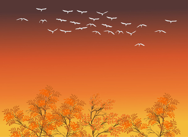 white swans above fall trees - Vector, Image