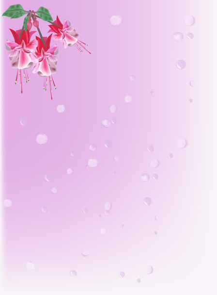 różowy tło z trzy małe różowe kwiecie - Wektor, obraz