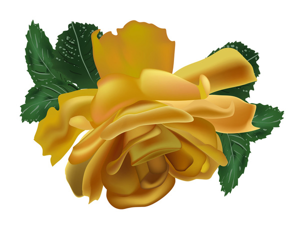 bright gold rose isolated on white - Vector, Image