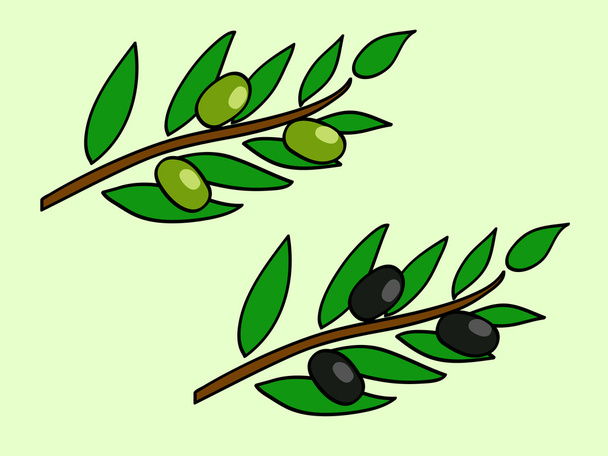 оливкових бранч
 - Вектор, зображення