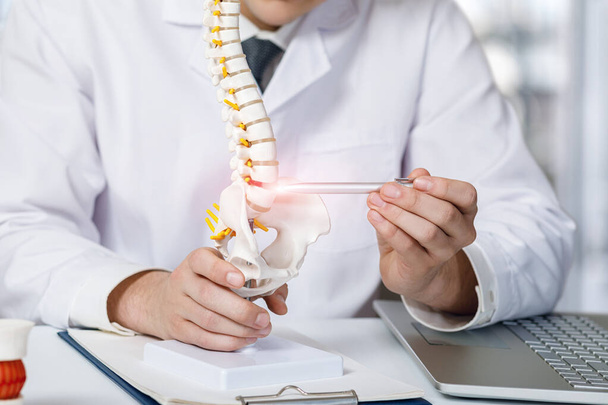 El médico muestra en la columna vertebral el lugar donde aparece la hernia intervertebral
. - Foto, imagen