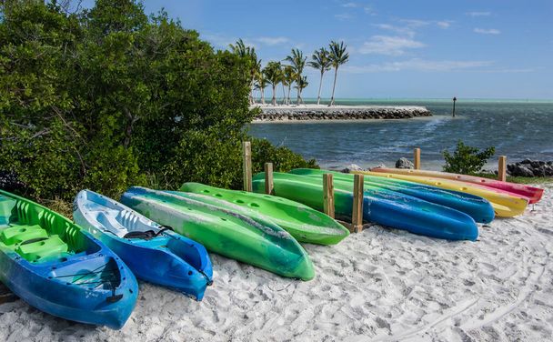 Kayaks en una playa de Florida: Una fila de kayaks de alquiler bordea la orilla de una ensenada oceánica en un parque en los Cayos de Florida
. - Foto, imagen