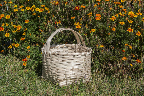 緑の草の上のウィッカー素朴なバスケット花の庭の背景 - 写真・画像