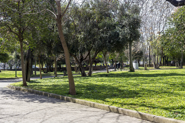 Stadtlandschaft. Moderne Ansicht des Rizari-Parks in der Innenstadt an einem sonnigen Wintertag (Athen, Griechenland)) - Foto, Bild