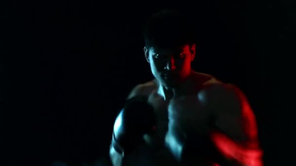 Концепція тіньового боксу. Боксер в рукавичках бореться з тіні на чорному тлі. Індивідуальний відпочинок. Чайні помаранчеві кольори
. - Кадри, відео