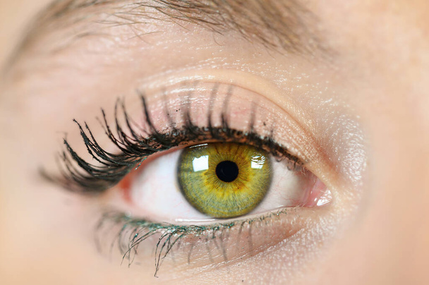 Vrouwelijke oog close-up. Macro. Perfecte make-up en wenkbrauwen. Mooie groene ogen. - Foto, afbeelding