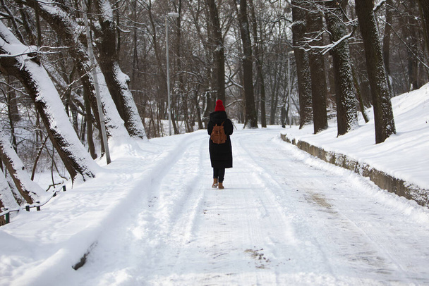 kobieta w zimie strój spacery przez snowed park droga czerwony kapelusz - Zdjęcie, obraz