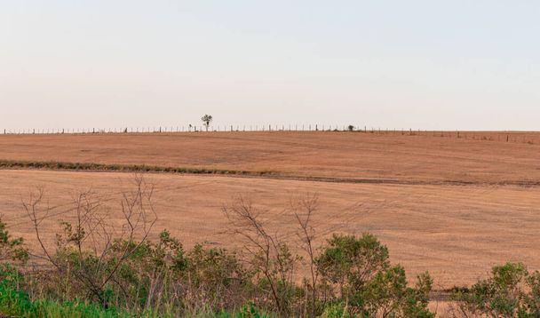 Області ферм на півдні Бразилії, де практикують землеробство і тваринництво, і ландшафт Пампа Гачо з його характерним біомом. Межі з Уругваєм та Аргентиною. - Фото, зображення