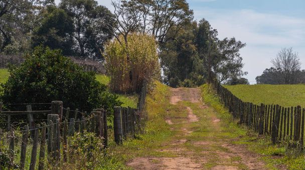 Imagen de un sendero en medio de un paisaje rural en Cerro Chapado, ciudad de Jaguari, Brasil. Caminos de tierra que circulan los habitantes del lugar que
 - Foto, imagen