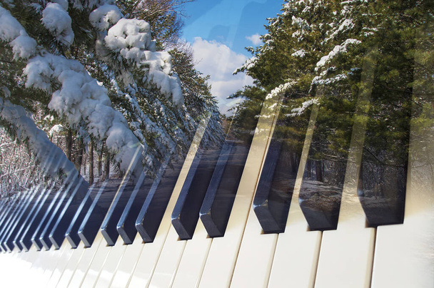 classical music background photo double exposure of piano keys and winter landscape - Photo, Image