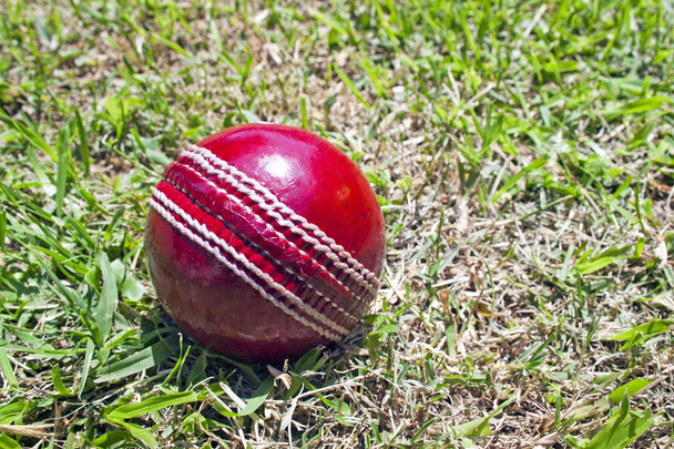 neuer roter Cricketball auf flickigem Rasen - Foto, Bild