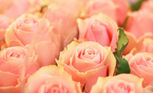 Цветочные композиции. Прекрасный букет роз для праздников. Цветочный фон, копия пространства. Подарки на день святого Валентина
 - Фото, изображение