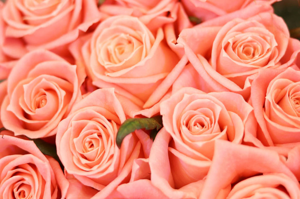 Цветочные композиции. Прекрасный букет роз для праздников. Цветочный фон, копия пространства. Подарки на день святого Валентина
 - Фото, изображение