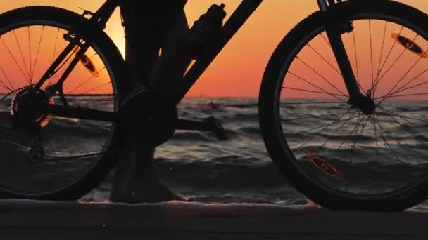 朝日の下で朝のビーチで自転車を持っている若い男性のシルエット - 映像、動画