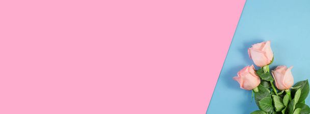 Rosas rosadas sobre fondo rosa pastel y azul. Cumpleaños, Madre, San Valentín, Mujeres, concepto del día de la boda. Composición Vacacional Mínima. Copiar espacio. Banner ancho largo
 - Foto, imagen